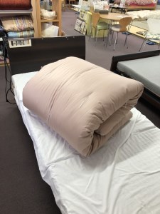 コットンの王様・エジプト綿入り「究極の掛ふとん」（ローズピンク）【CW25W】
