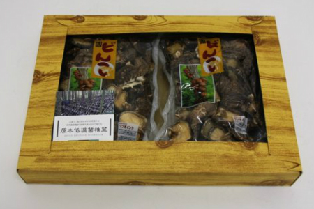 こだわりの原木栽培・特選くにさき乾椎茸/どんこ280g_0815Z