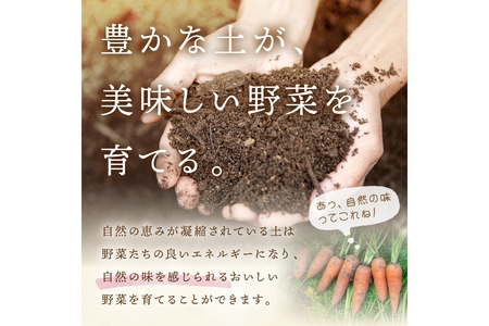 【年6回定期便】＜てんとうむしばたけ＞オーガニック野菜セット　有機野菜11～12種(4人用)