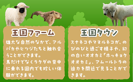 那須どうぶつ王国 ご招待券（大人2名 小人2名） ｜ 動物 動物園チケット 動物園 どうぶつえん チケット 券 入場券 入園券 観光 ファミリー 家族 お出かけ 旅行 栃木県 那須町〔P-155〕