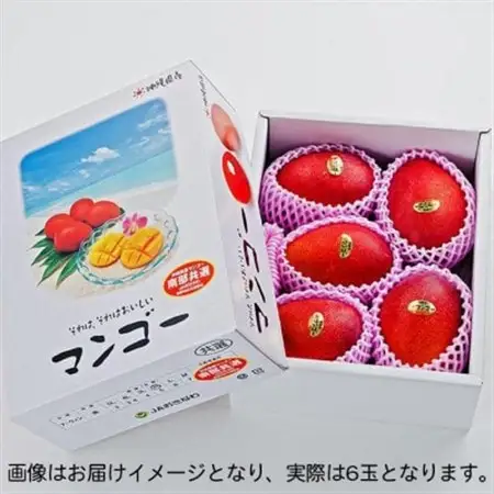 【2026年6月中旬から順次発送・優品】完熟アップルマンゴー約1.5kg(6玉)【配送不可地域：離島】【1466101】
