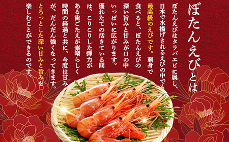 【訳あり】 ぼたんえび 1kg （小サイズ）【0512402】