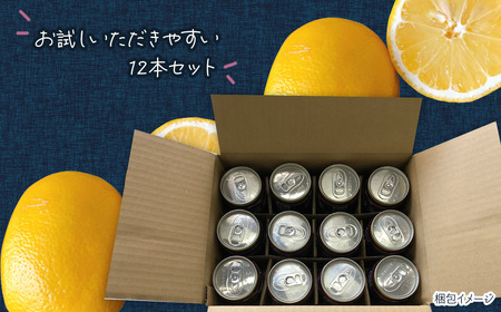 新・二代目 「檸檬堂」 定番レモン （350ml×12本）｜缶チューハイ レモンサワー お酒