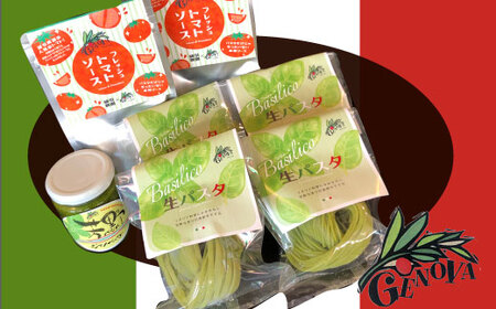 生パスタ（バジル）＆ソース＆バジルぺーストセット バジルを練りこんだパスタ フレッシュトマトソ?ス 芳野バジルペースト セット 計800g パスタソース 冷蔵配送 ランチ パスタ もちっと生パスタ ジェノベーゼ 本格 生パスタ 生麺 もちもち