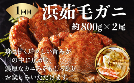 【定期便】カニ専門商社がお届けする タラバ・毛ガニ・秋鮭満喫3回定期便（網走加工） 【 ふるさと納税 人気 おすすめ ランキング タラバガニ タラバ 毛ガニ 秋鮭 定期便 いくら 北海道 網走市 送料無料 】 ABC012