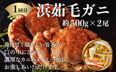 【定期便】カニ専門商社がお届けする タラバ・毛ガニ・秋鮭お試し3回定期便（網走加工） 【 ふるさと納税 人気 おすすめ ランキング タラバガニ タラバ 毛ガニ 秋鮭 定期便 いくら 北海道 網走市 送料無料 】 ABC013