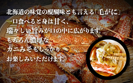 【数量限定】＜北海道産＞浜茹で毛がに【約500g×3尾】（網走加工） 【 毛蟹 毛ガニ 毛がに かに味噌 カニみそ 】 ABC017