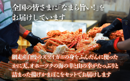 ＜網走産＞ズワイガニのかに天とかまぼこセット 【 ふるさと納税 人気 おすすめ ランキング ずわいがに 蒲鉾 かまぼこ かに天 揚げかまぼこ 北海道 網走市 送料無料 】 ABD004