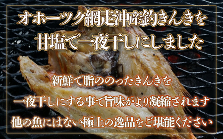 【数量限定】＜網走産＞釣きんき開き大2枚入り（網走加工）【 ふるさと納税 人気 おすすめ ランキング 釣きんき 釣キンキ 釣りきんき キンキ 干物 一夜干し 開き 魚 網走産 お手軽 簡単 新鮮 冷凍 絶品 北海道 網走市 送料無料 】 ABF006