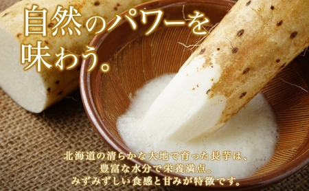 【 2026年 出荷 】 北海道 倶知安町産 長芋 2L×約6本 計5kg 秋堀り 芋 ながいも とろろ 新鮮 フレッシュ 野菜 農作物 産直 山芋 麦とろ 山かけ おつまみ グリーンアースファーム 送料無料 北海道 倶知安町 新鮮野菜 