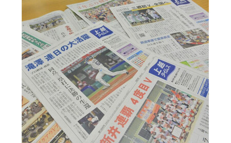 定期便 3回 上越タイムス3ケ月お届け 新聞 地域新聞 日刊紙 行政 伝統 新潟