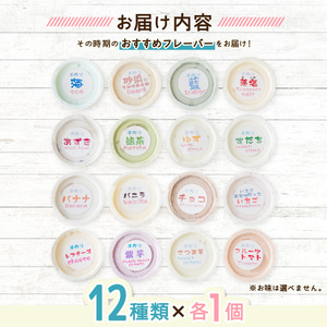 海陽町特製アイス　ユニークな味１２種類セット！ 