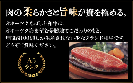 ＜網走産＞オホーツクあばしり和牛 【 ふるさと納税 人気 おすすめ ランキング オホーツクあばしり和牛 ブランド和牛 限定生産 希少 北海道 網走市 送料無料 】 ABM007