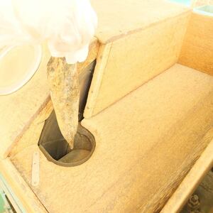 沼津産 「 かつお節 」 & 「 さば節 」 削り 体験 ( ４名 様まで ) + お土産