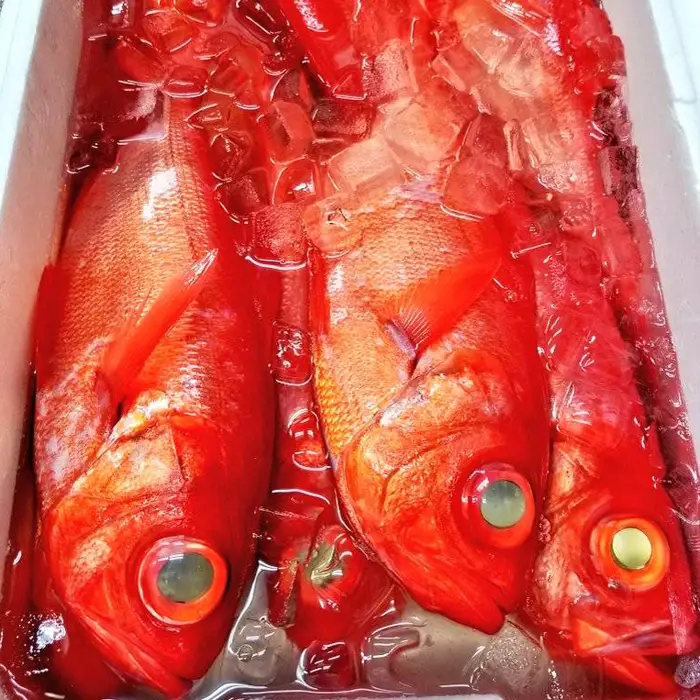 【日本料理えのもと】天津小湊産「金目鯛姿煮」小サイズ１匹 [0012-0079]
