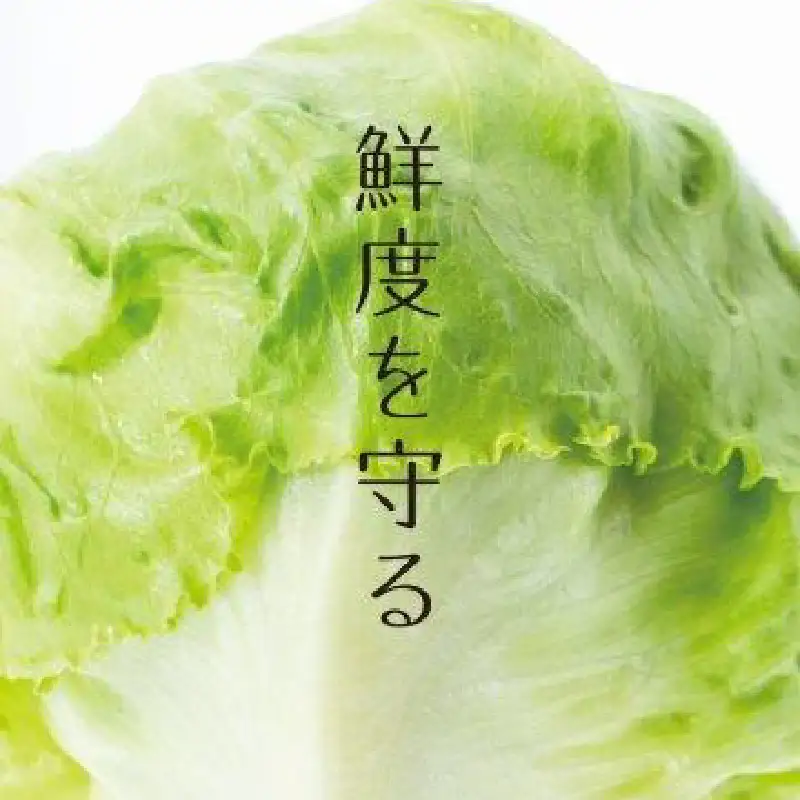 食品ロス軽減！野菜室の鮮度長持ちセラミック