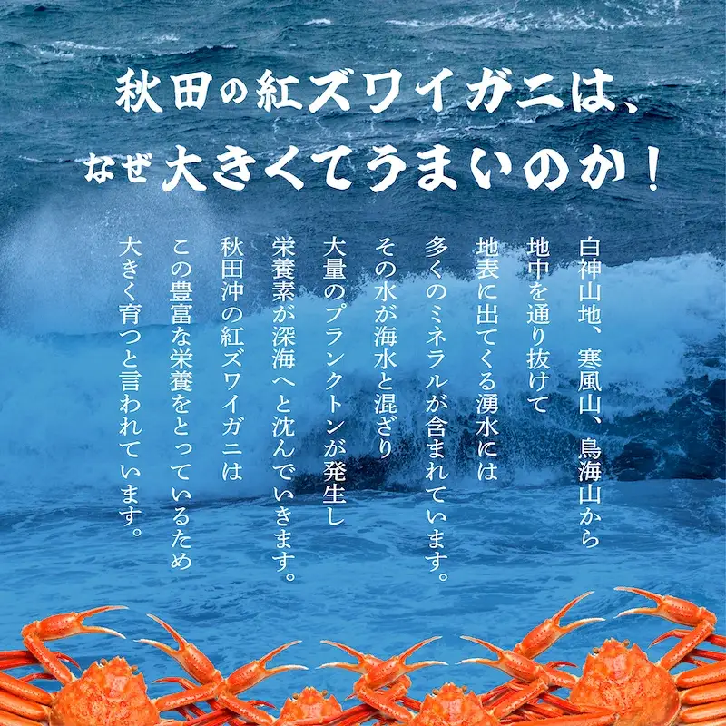 紅ズワイガニ 冷蔵 4匹 2.0kg【安田水産】