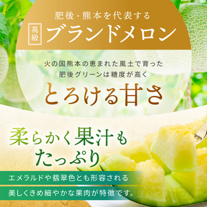 メロン 2玉 肥後グリーン or アールスメロン |  メロン 果物 フルーツ めろん マスクメロン 熊本県 玉名市