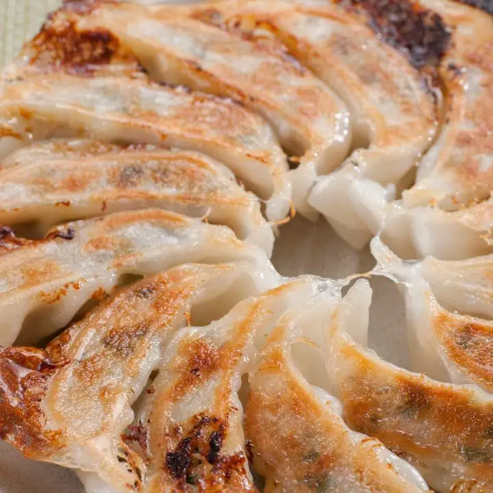 ドガーンと100個！もっちり餃子　【07208-0044】