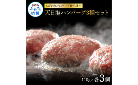 食べ比べ！天日塩ハンバーグ3種セット各3個(110g×3種) 合計9個 ハンバーグ 黒毛和牛 美鮮豚 天然塩 天日塩 デミグラスソース 和風ソース ソース付き 牛肉 豚肉 温めるだけ 冷凍 配送 国産 故郷納税