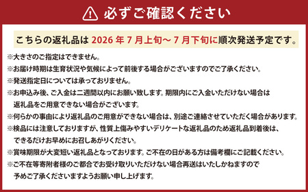 メロン 赤・青セット （1玉 約1.6kg） 【2026年7月上旬～2026年7月下旬発送予定】 果物 フルーツ めろん 2玉 詰め合わせ セット 赤肉 青肉 北海道 浦臼町