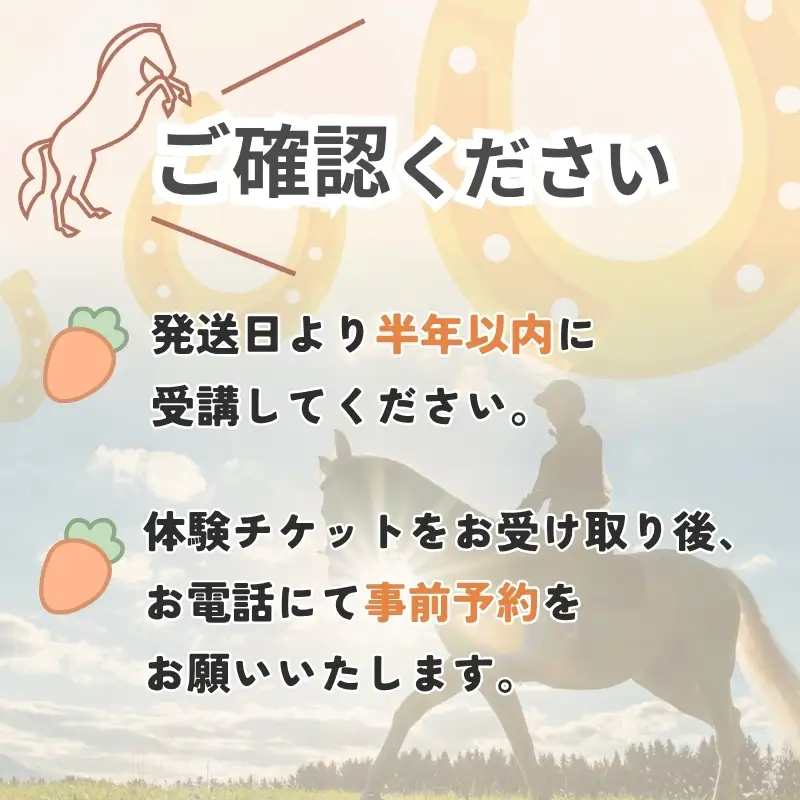 体験乗馬1回コース(ドリンク付)【cran0001】