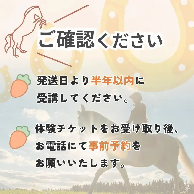 体験乗馬3日間3回コース(ドリンク付)【cran0002】