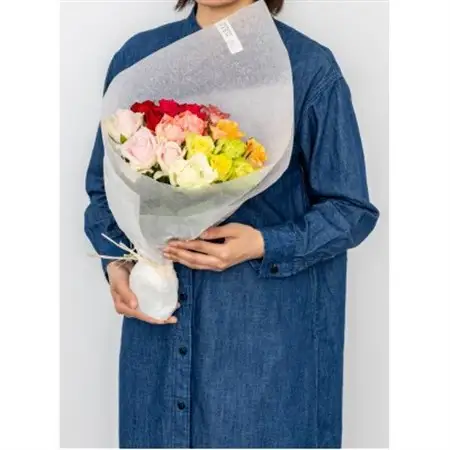 ホシファーム　フレッシュブーケ　カラフル　18本_花・観葉植物  花 _【配送不可地域：離島】【1465242】