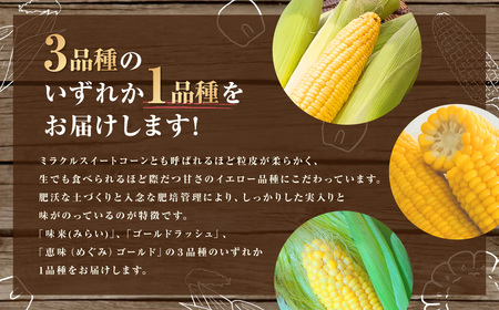 とうもろこし イエロー 約5kg 【2026年8月上旬～2026年8月下旬発送予定】 野菜 トウモロコシ コーン スイートコーン もろこし 甘い 北海道 浦臼町