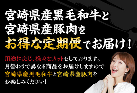 【訳あり定期便】宮崎和牛と宮崎県産豚肉6ヶ月定期便 ミヤチク6回お届け 牛肉 豚肉