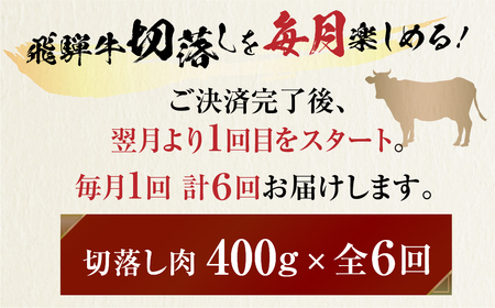 《定期便》飛騨牛 切り落とし 肉 400g ×6回 定期便 計2.4kg JAひだ [S630]