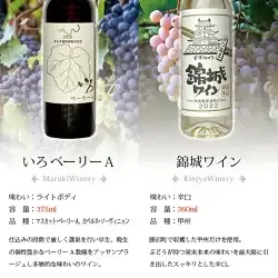 ワイン 山梨のワイン飲み切りハーフボトル5本セット（CKH）B18-770