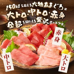 駿河屋賀兵衛 本まぐろ尽くし セット 2人前 大物 本マグロ まぐろ 大トロ 中トロ 赤身 計280g 海鮮丼のたれ付 贅沢 食べ比べ 寿司ネタサイズ カット済み 切り身 刺身 海鮮丼 寿司 巻き寿司 旨味 爽やか 人気 冷凍発送 静岡県 富士市 [sf067-011]