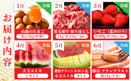 【12回定期便】 開けるたびワクワク！山鹿の極上福袋　お肉からあまいものまで山鹿の恵み [ZZZ005] たまご 黒毛和牛 いちご スイカ メロン 豚帝 フランク ジェラート ピオーネ シャイン ぶどう 馬刺し ユッケ しゃぶしゃぶ  すき焼き ステーキ  
