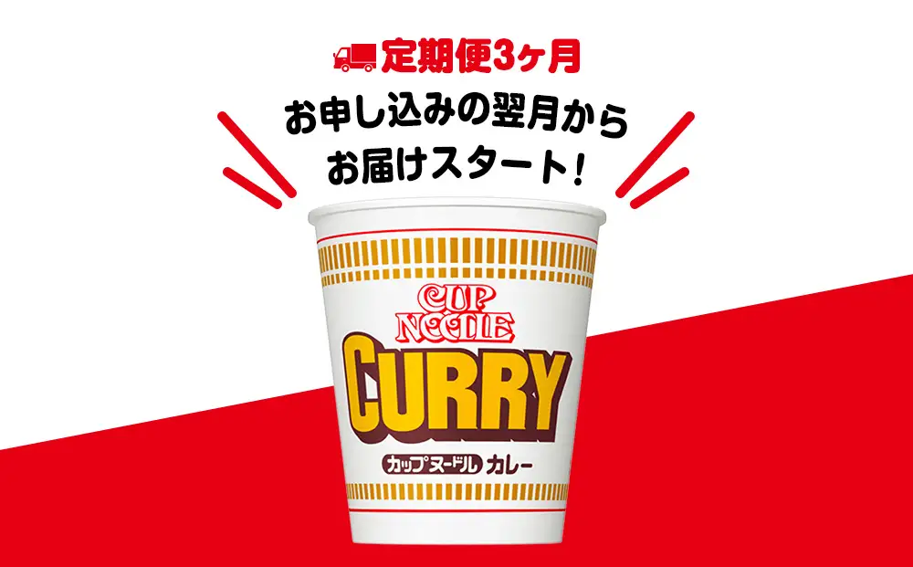 【定期便3か月】日清 カレーヌードル★1箱（20食入）