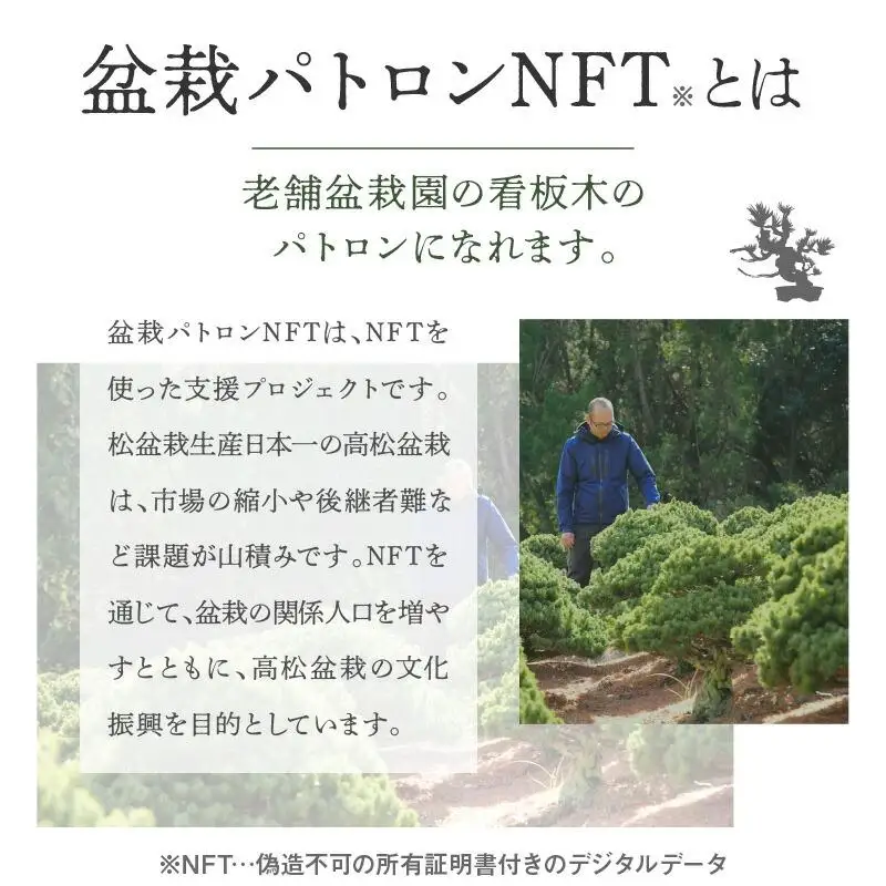 【ふるさと納税】盆栽パトロンNFT 特別ランク（デジタル商品・実物の盆栽は含まれません）