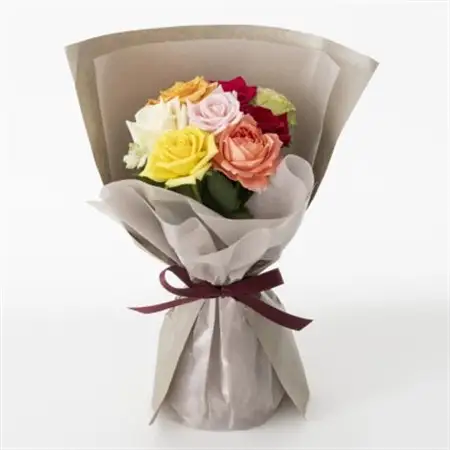 ホシファーム　届いた姿でそのまま飾れるスタンディング薔薇ブーケ　カラフル8本_花・観葉植物  花 _【配送不可地域：離島・北海道・沖縄県】【1465217】