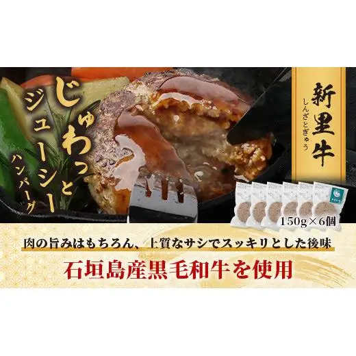 石垣島産 黒毛和牛 新里牛 職人手ごね生ハンバーグ (150g×6) 合計900g SZ-7