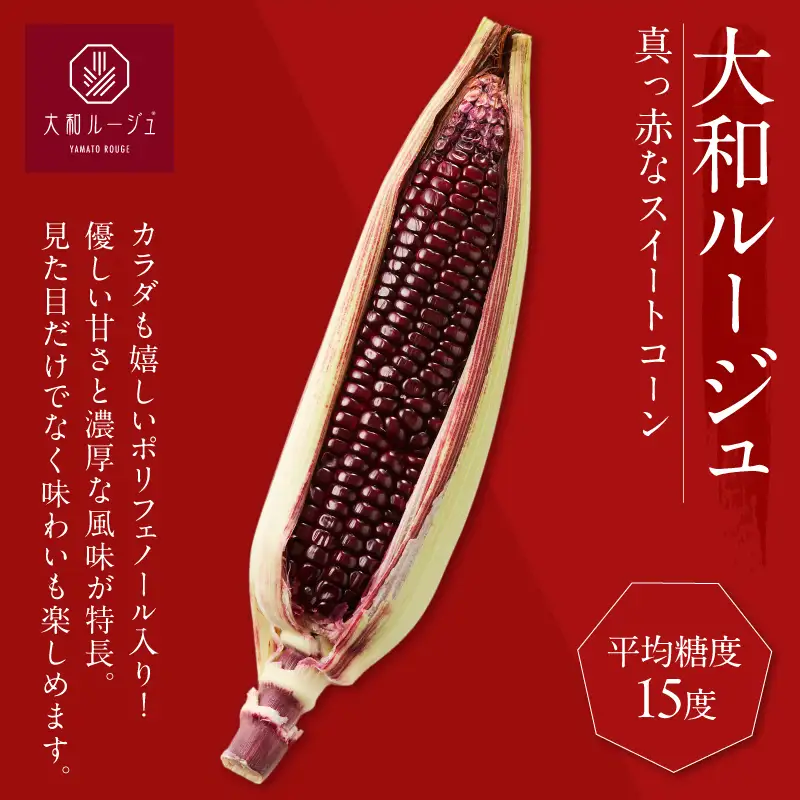 先行予約≪期間限定≫赤いスイートコーン大和ルージュ(約2kg) とうもろこし 野菜 国産_T003-0075