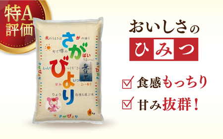 令和7年産 さがびより 無洗米 白米 計10kg（5kg×2袋）/ 白米 [41ACBW004]