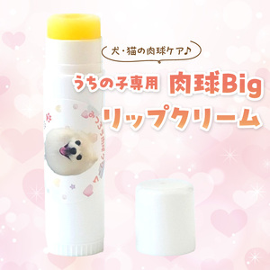 【ペット専用】うちの子専用肉球 Bigリップクリーム 《 ペットグッズ 愛犬 ケア 国産みつろう100% オーガニック スティックタイプ 大容量 ホホバオイル 》【2400N13313】