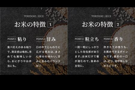 ＜令和7年産＞ 真空パック包装 鳥取県産コシヒカリ20kg (5kg×4袋)  令和7年産 Elevation