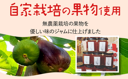 ジャムセット（いちじく・きんかん）ジャム イチジク キンカン 金柑 無花果 お取り寄せグルメ お取り寄せ 福岡 お土産 九州 福岡土産 取り寄せ グルメ 福岡県