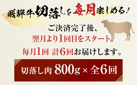 《定期便》飛騨牛 切り落とし 肉 800g ×6回 定期便 計4.8kg JAひだ [S631]