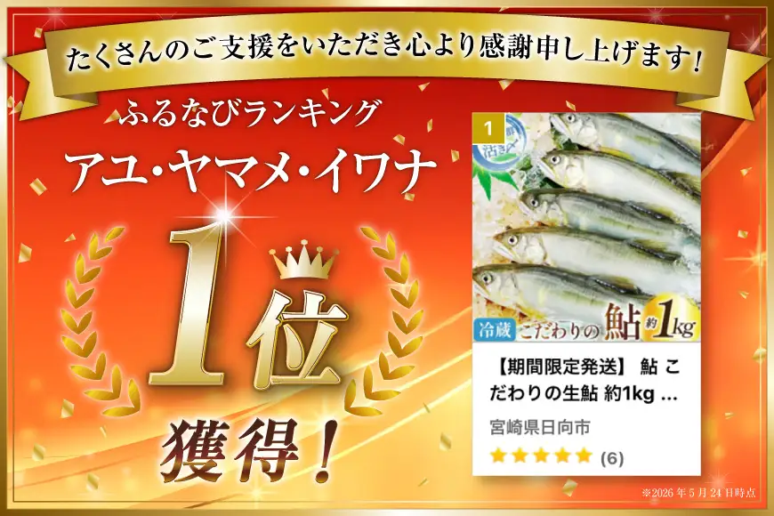【期間限定発送】 鮎 こだわりの生鮎 約1kg [株式会社 あゆの是則 宮崎県 日向市 452060793]