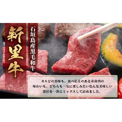 石垣島産 黒毛和牛 新里牛 【特選】赤身・カルビ焼肉ミックス(400g×1袋)　SZ-16