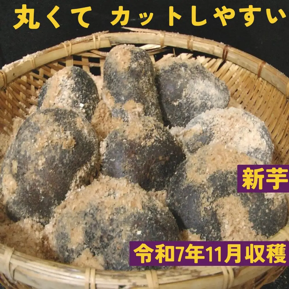 【芋家なか吉】丹波山の芋 種芋 3kg  食用でもOK/令和7年11月収穫［ 京都 芋 いも イモ 新鮮 野菜 栽培 人気 おすすめ お取り寄せ 通販 ふるさと納税 ］