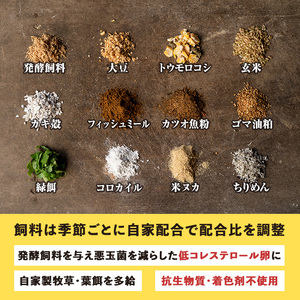isa529 【定期便】いちき農園のこだわり卵(計480個・40個×12カ月) 平飼い 鶏 たまご 卵 タマゴ 低コレステロール 抗生物質不使用 卵かけご飯 TKG 定期便【いちき農園】【isa529】