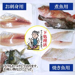 【嶋矢水産】 瀬戸内の鮮魚 直送便 下処理済み 産地直送 10000円 台 二人前 刺身 煮魚 焼き魚 瀬戸内海 愛媛 松山 老舗 魚 人気 イサキ タイ 鯛 ワカナ サワラ 鰆 炙り メバル オコゼ イサキ チダイ タチウオ【SMY001】