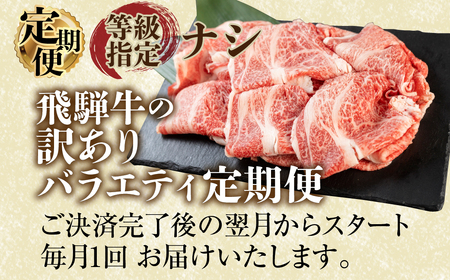 【 定期便 】 訳あり 飛騨牛 バラエティ 3回 計1.9kg 訳あり [S608]